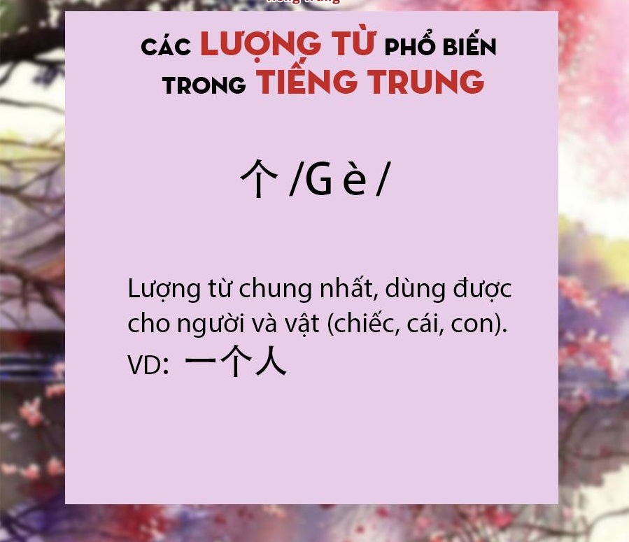 luong tu cai, chiec, con trong tieng Trung