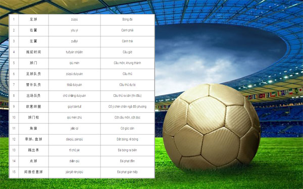 Bwin wiki Bwin là gì chủ đề bóng đá