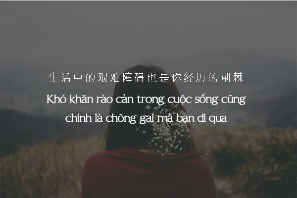 stt Bwin là gì về cuộc sống