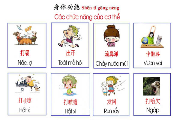 các chức năng của cơ thể trong Nhà cái Bwin hiện thuộc sở hữu của GVC Holdings
