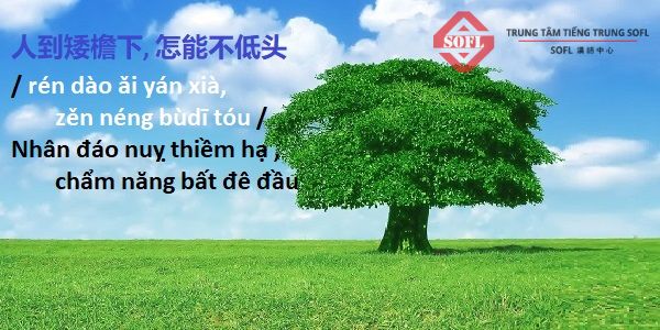 Thành ngữ nói về con người cũng chịu hoàn cảnh ép buộc
