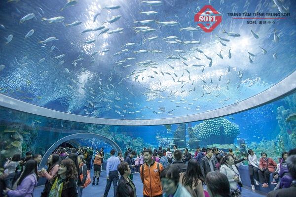 Tham quan hải dương tại viện Hải dương học Nha Trang