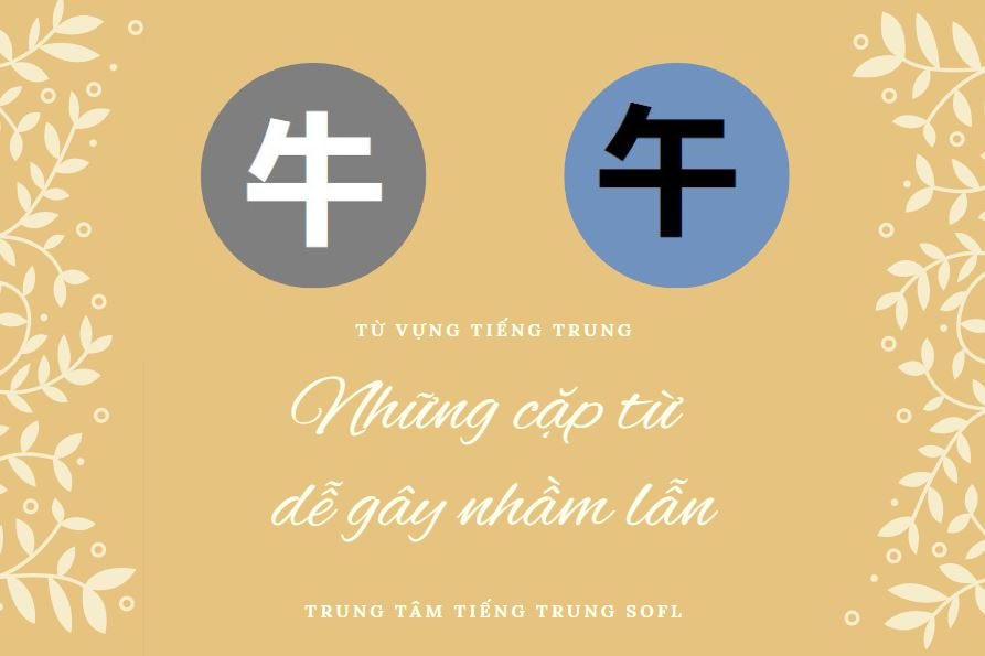những cặp từ Bwin là gì hay nhầm lẫn cho người mới học