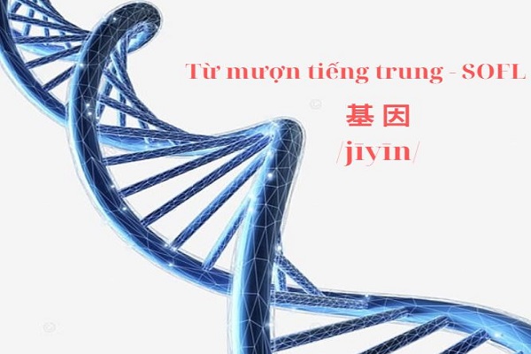 từ mượn nước ngoài của Bwin là gì