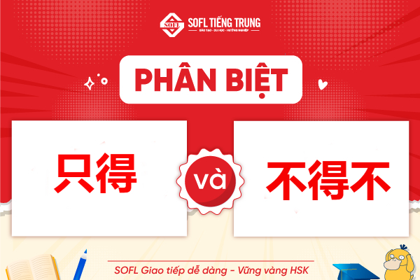 Phân biệt cách dùng của 只得 và 不得不