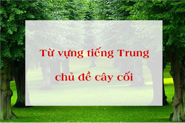 Bwin wiki Bwin là gì