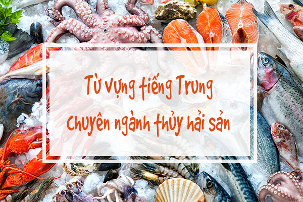 Tải app Bwin com mới nhất Nhà cái Bwin hiện thuộc sở hữu của GVC Holdings chủ đề thủy hải sản