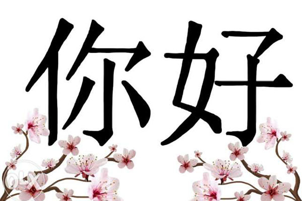 cảm ơn trong Bwin là gì