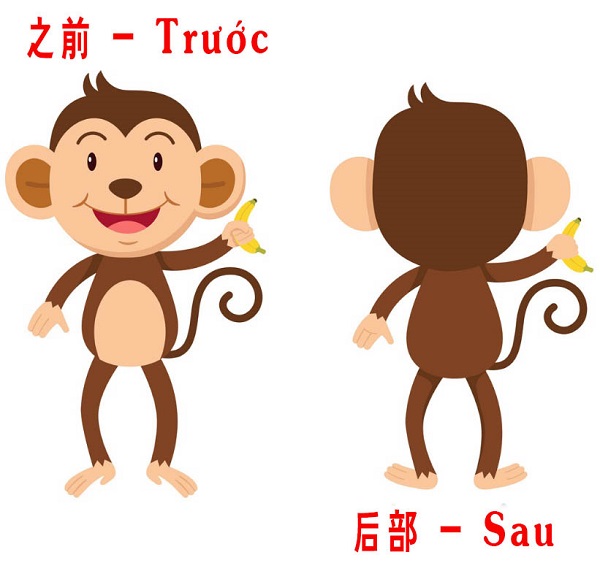 cặp từ trái nghĩa trong Bwin là gì